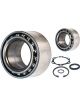 Schaeffler FAG Wheel Bearing Kit