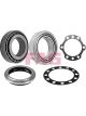 Schaeffler FAG Wheel Bearing Kit