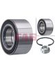 Schaeffler FAG Wheel Bearing Kit