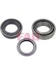 Schaeffler FAG Wheel Bearing Kit