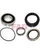 Schaeffler FAG Wheel Bearing Kit