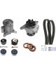 Schaeffler INA Water Pump & Timing Belt Kit