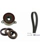 Schaeffler INA Timing Belt Kit