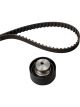 Schaeffler INA Timing Belt Kit
