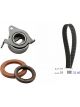 Schaeffler INA Timing Belt Kit