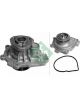 Schaeffler INA Water Pump