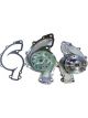 Schaeffler INA Water Pump