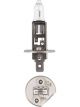 Narva 24 Volt 100W P14.5S Halogen Headlight Globes Pack of 1
