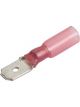 Narva 6.3 x 0.8mm Adhesive Lined Male Blade Terminal Red Pack of 50