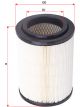 Sakura Air Filter