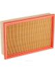 Ryco Air Filter
