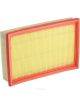 Ryco Air Filter