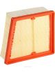 Ryco Air Filter