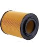 Ryco Air Filter