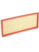 Ryco Air Filter