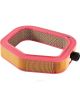Ryco Air Filter
