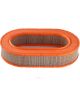 Ryco Air Filter