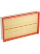 Ryco Air Filter
