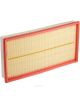 Ryco Air Filter