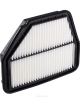 Ryco Air Filter