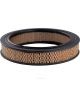 Ryco Air Filter