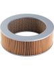Ryco Air Filter