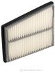 Ryco Air Filter