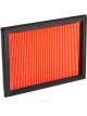 Ryco Air Filter