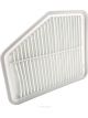 Ryco Air Filter