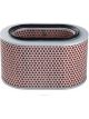 Ryco Air Filter