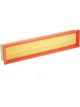 Ryco Air Filter