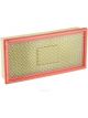Ryco Air Filter
