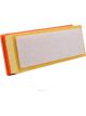 Ryco Air Filter