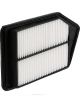 Ryco Air Filter