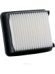 Ryco Air Filter