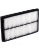 Ryco Air Filter