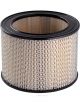 Ryco Air Filter