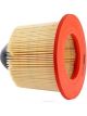 Ryco Air Filter