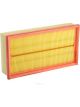 Ryco Air Filter