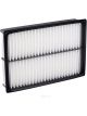 Ryco Air Filter
