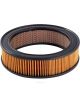 Ryco Air Filter