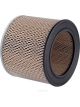 Ryco Air Filter