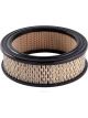 Ryco Air Filter