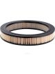 Ryco Air Filter