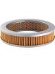 Ryco Air Filter