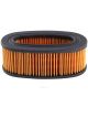 Ryco Air Filter