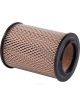 Ryco Air Filter