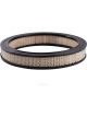 Ryco Air Filter