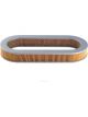 Ryco Air Filter