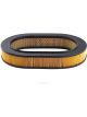 Ryco Air Filter
